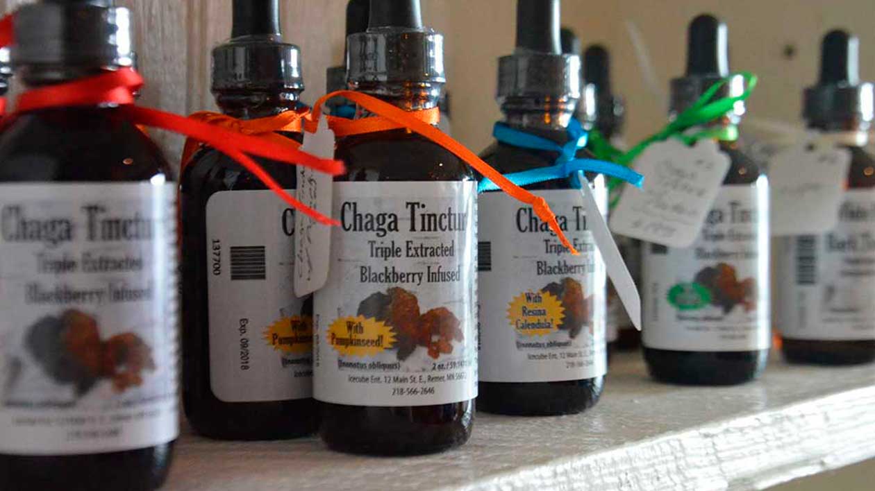 chaga, health, tinctures, chaga tinctures