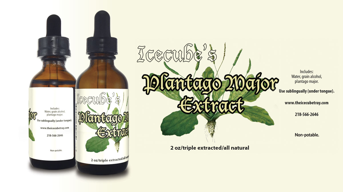 plantago tincture, natural medicine