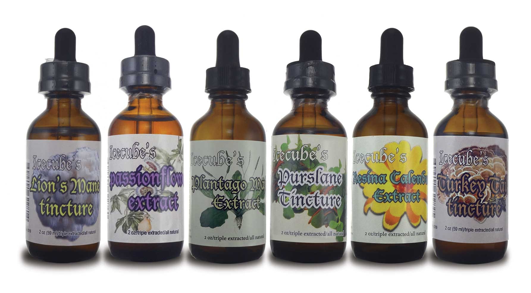 health supplement tinctures, chaga, herbal