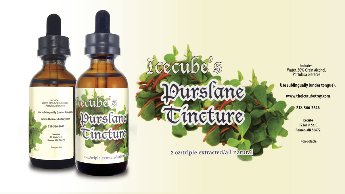 natural, medicinal, purslane, tincture, triple extract, traditional