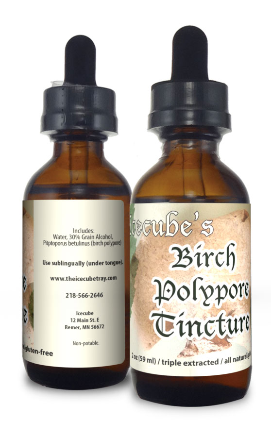 birch polypore, natural tincture