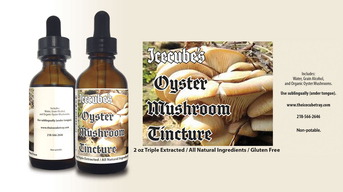 natural, tincture, oyster mushroom, medicinal, traditional, triple extract