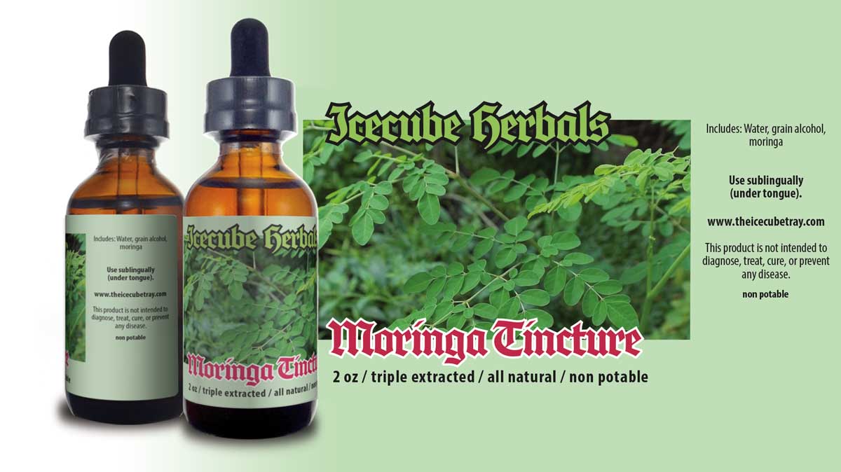 moringa tincture, natural herbal supplement